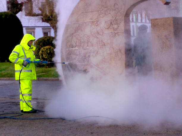 Best Local Pressure Washing Services  in Willis, TX