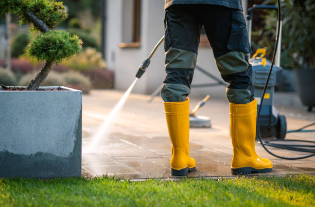 Best Pressure Washing Contractors  in Willis, TX
